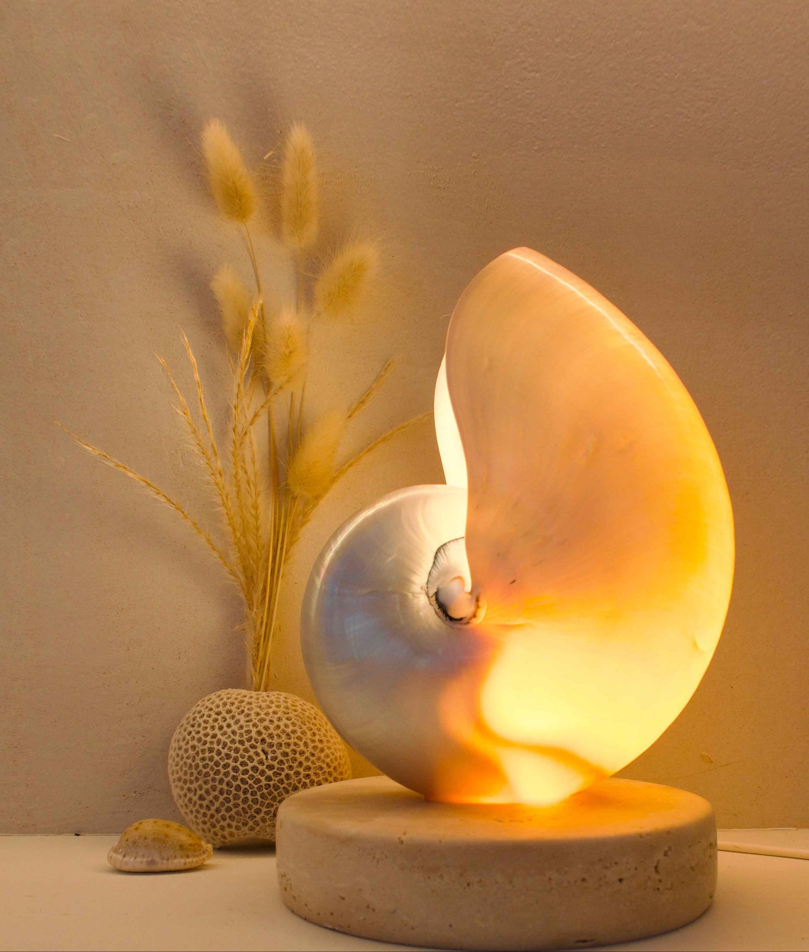 Mother of Pearl Nautilus - Large