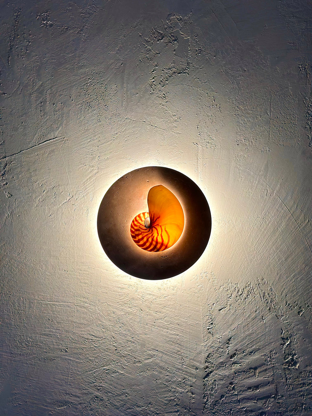 Nautilus shell and travertine stone wall sconce on textured render