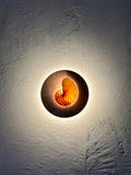 Nautilus shell and travertine stone wall sconce on textured render