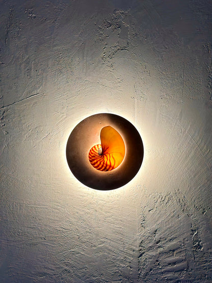 Natural Nautilus wall sconce