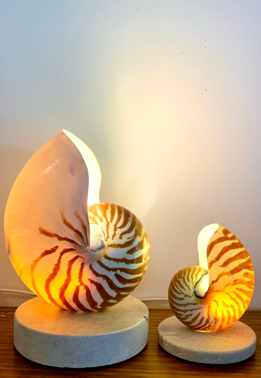 Nautilus Shell Lamp - Large