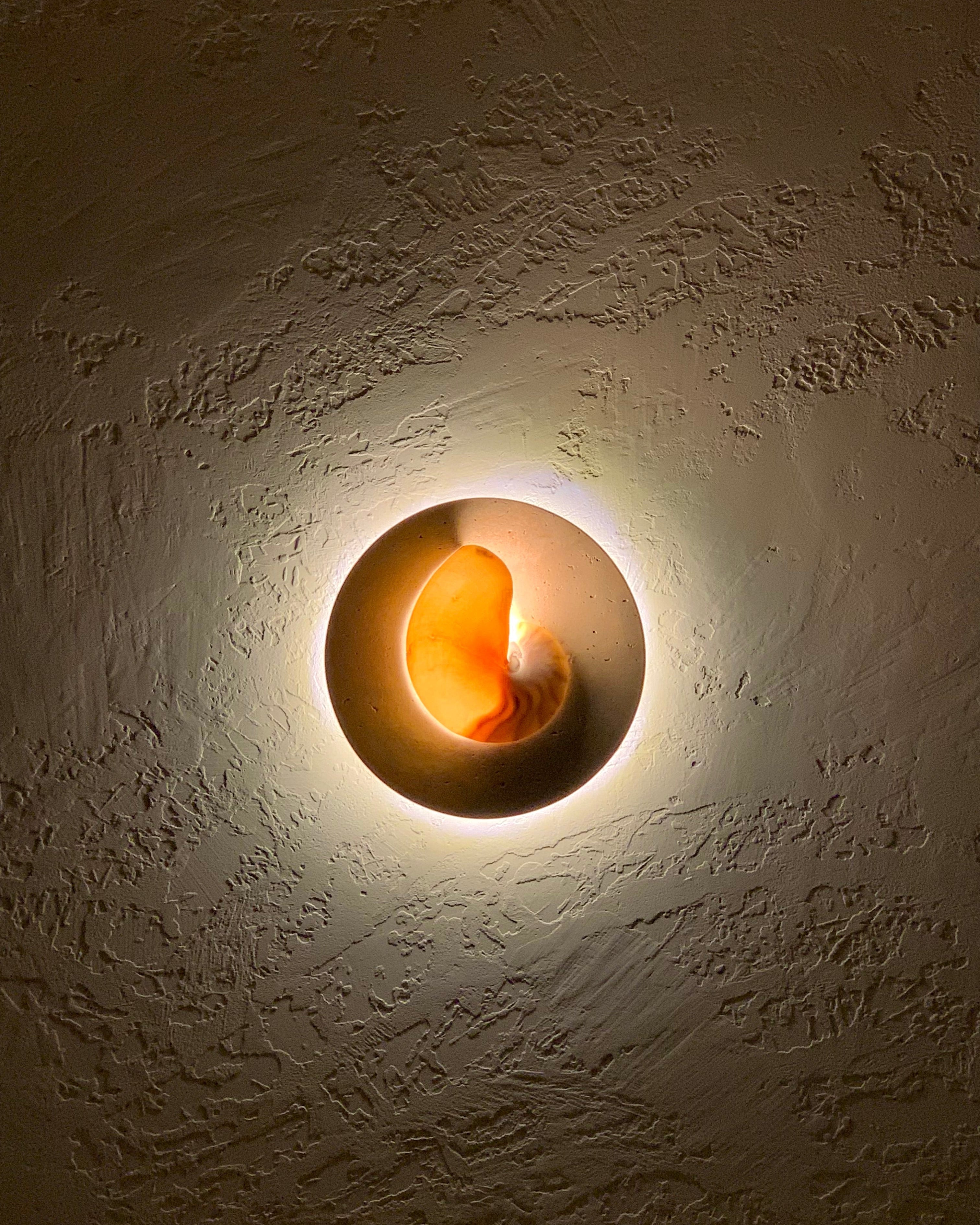 mother of pearl nautilus and travertine stone wall sconceon a textured render wall
