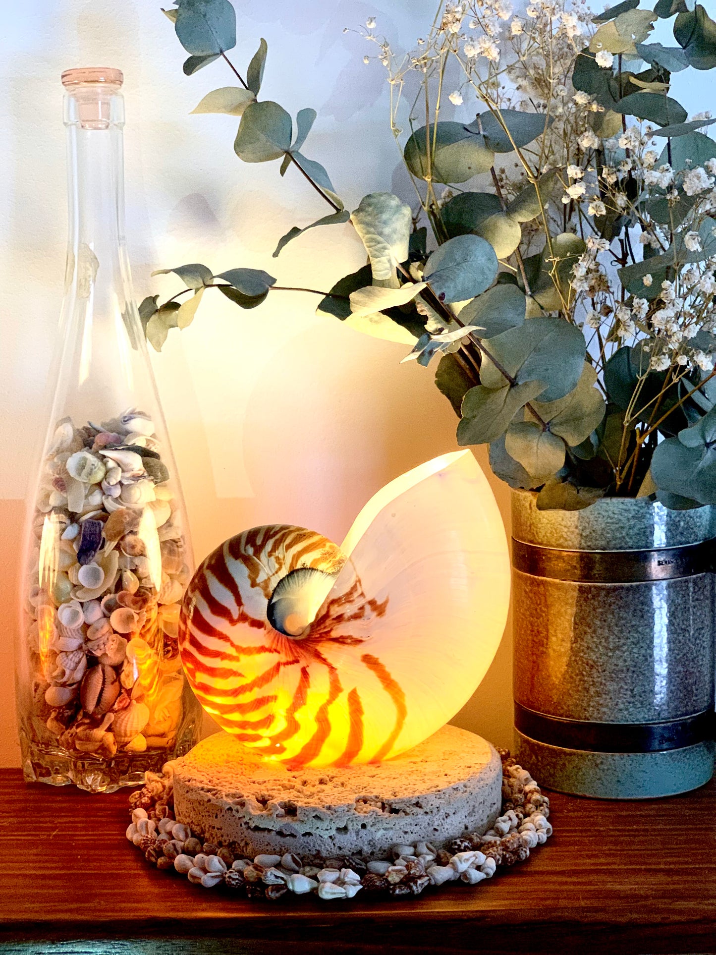 Large Nautilus Shell Lamp