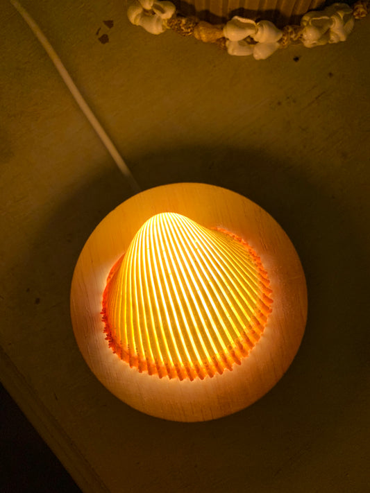 Rose Cockle Shell Lamp