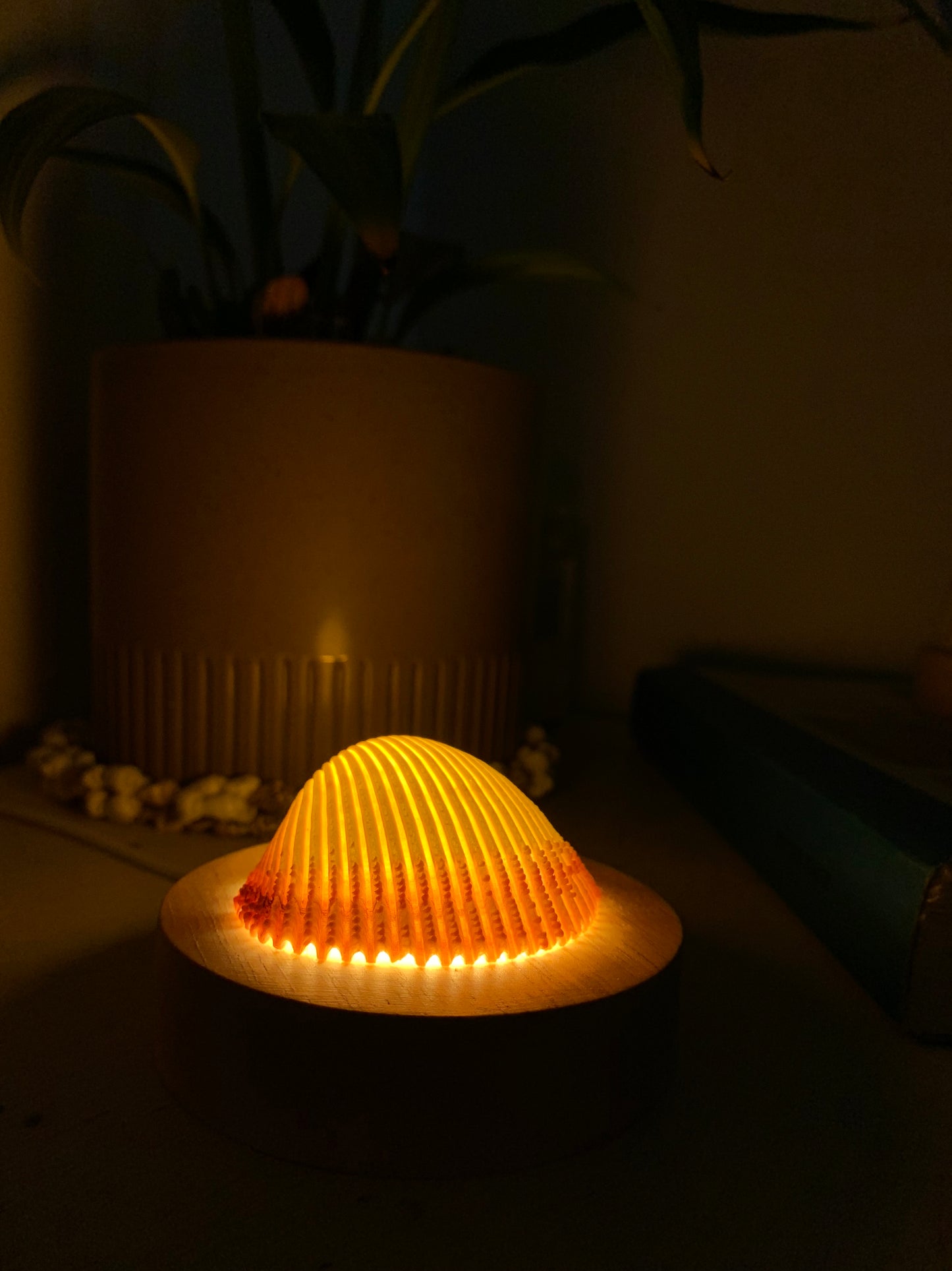 Rose Cockle Shell Lamp