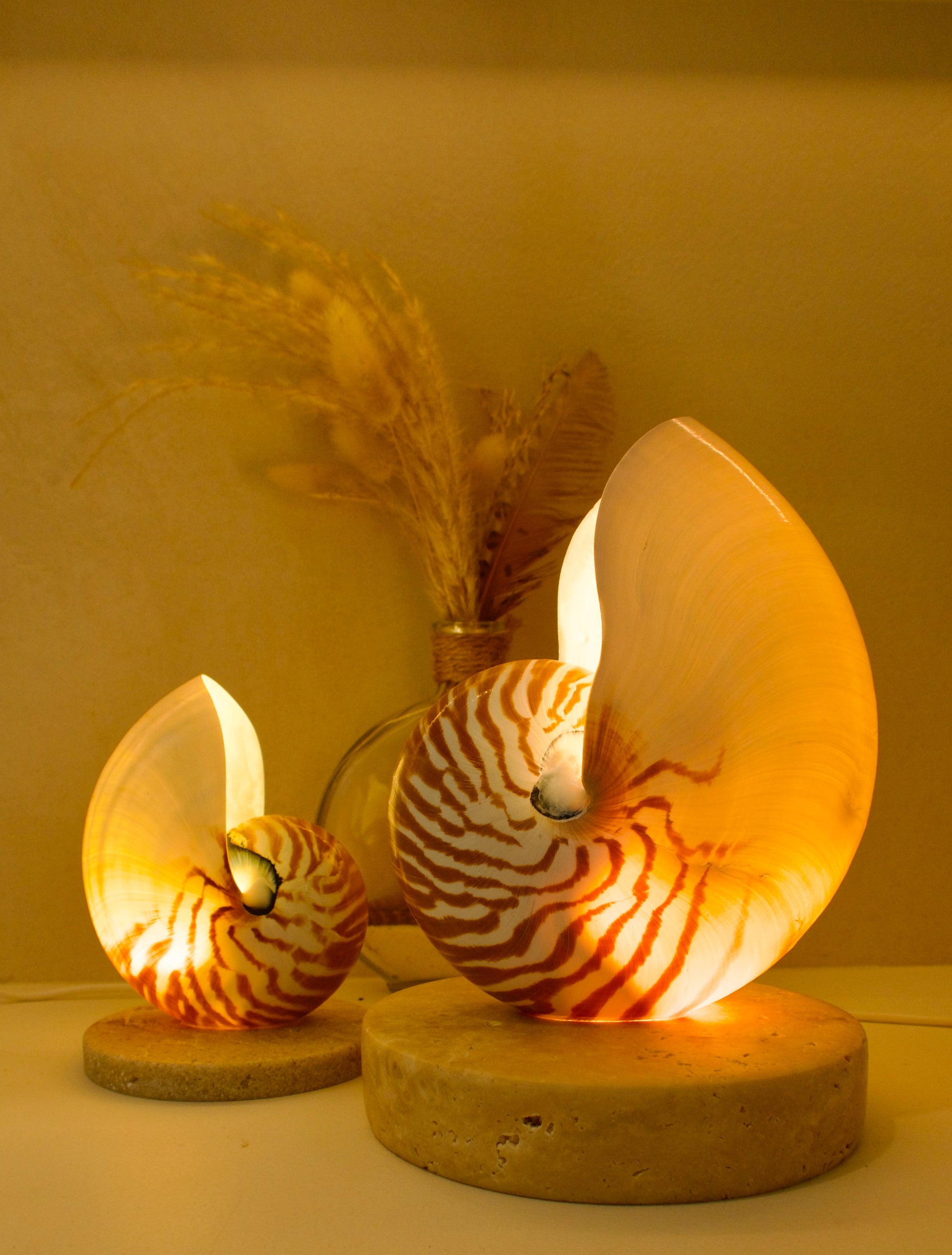 large and small nautilus shell bedside lamps on a travertine base