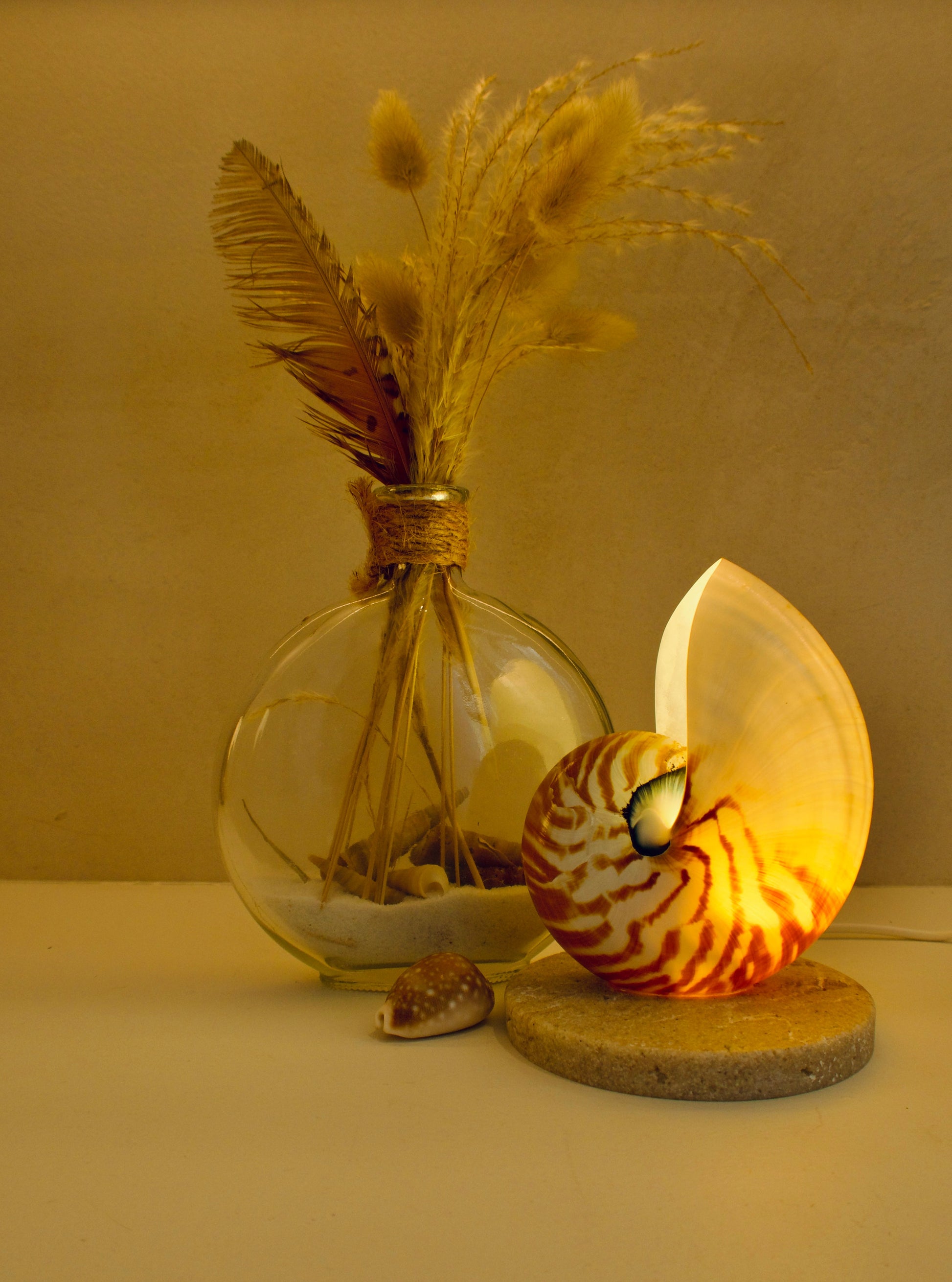 small nautilus shell bedside lamp on a travertine look base
