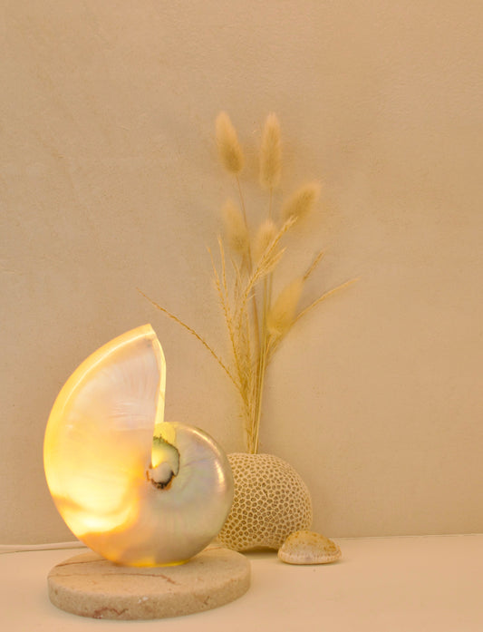 mother of pearl nautilus shell bedside lamp on travertine look base.