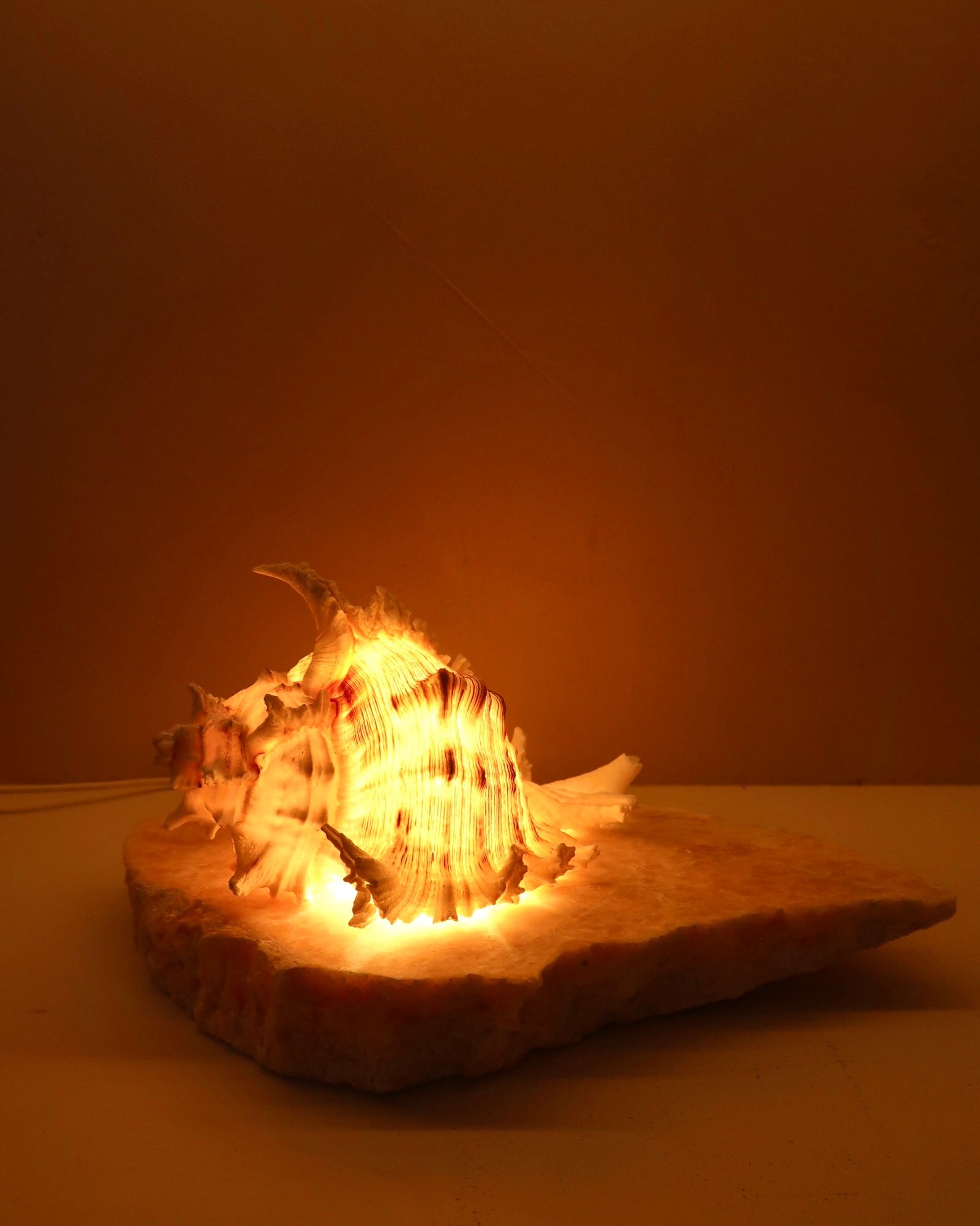 ramosus shell lamp on a quartz stone base with a neutral background