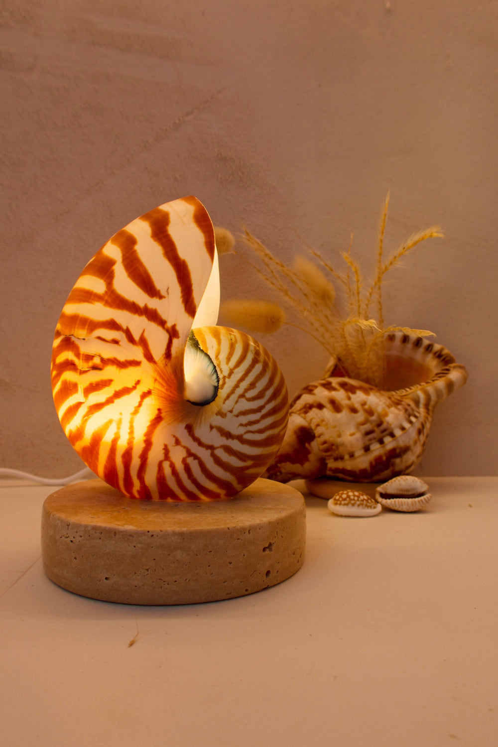 small nautilus shell bedside lamp on a travertine base