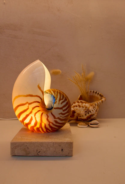 small nautilus shell bedside lamp on a square travertine base