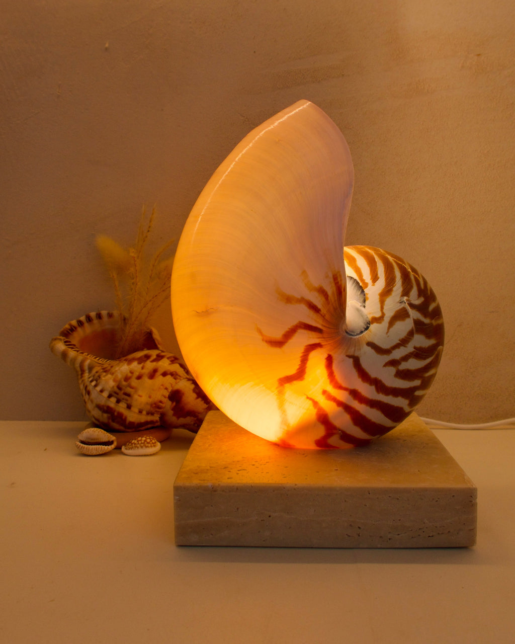 nautilus shell lamp on square travertine stone base