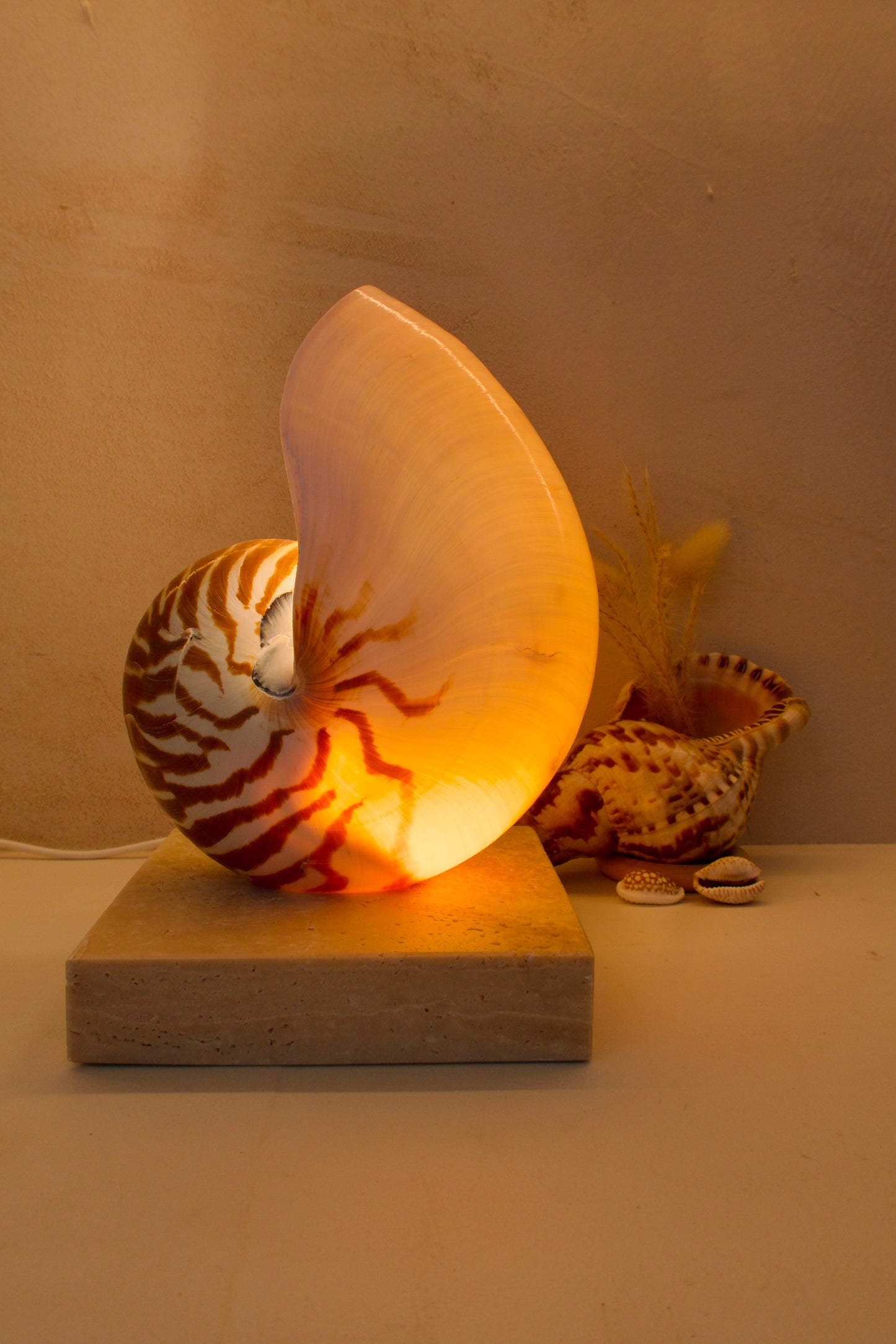 nautilus shell lamp on square travertine stone base