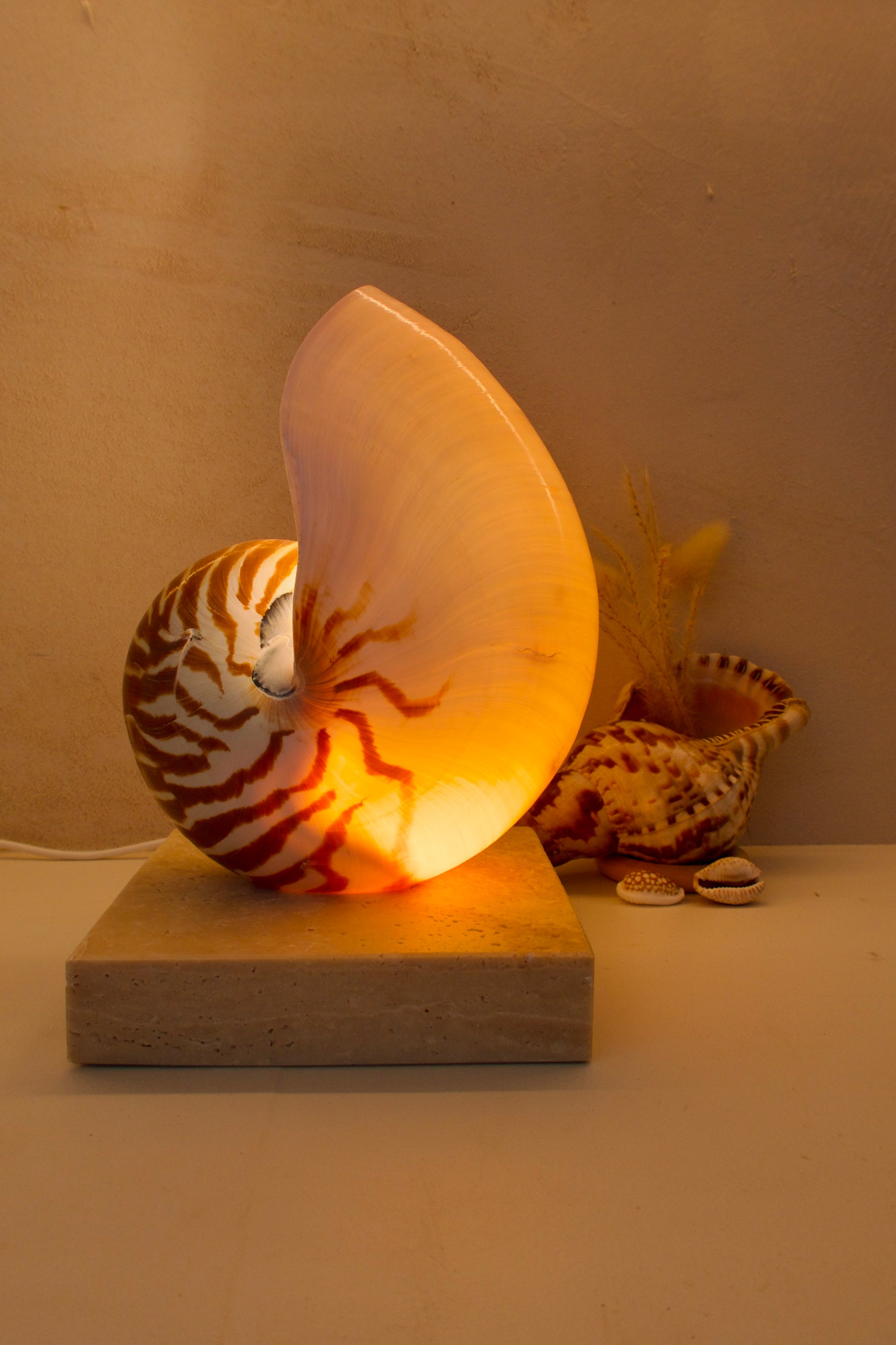 nautilus shell lamp on square travertine stone base
