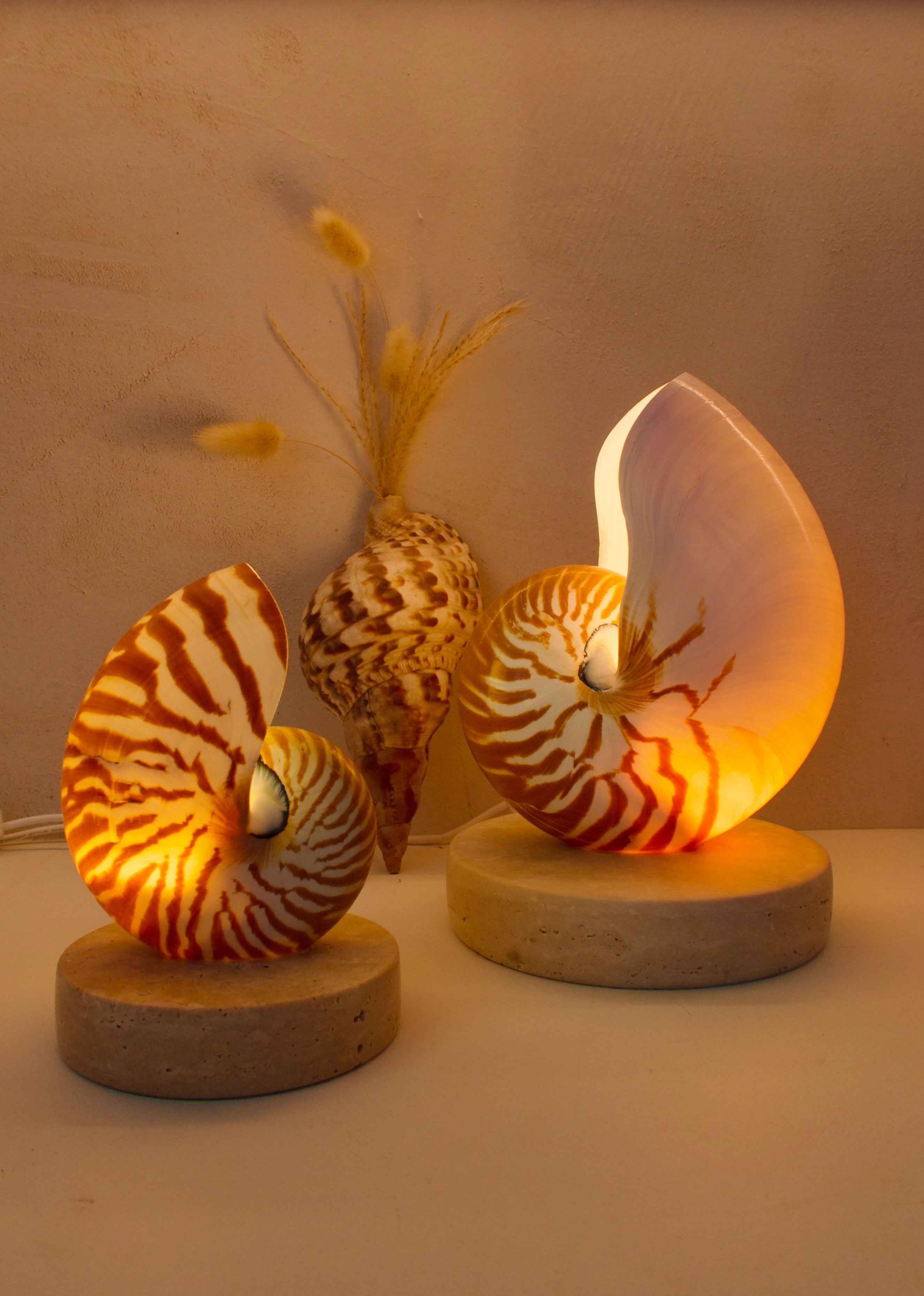 Nautilus Shell Lamp - Large