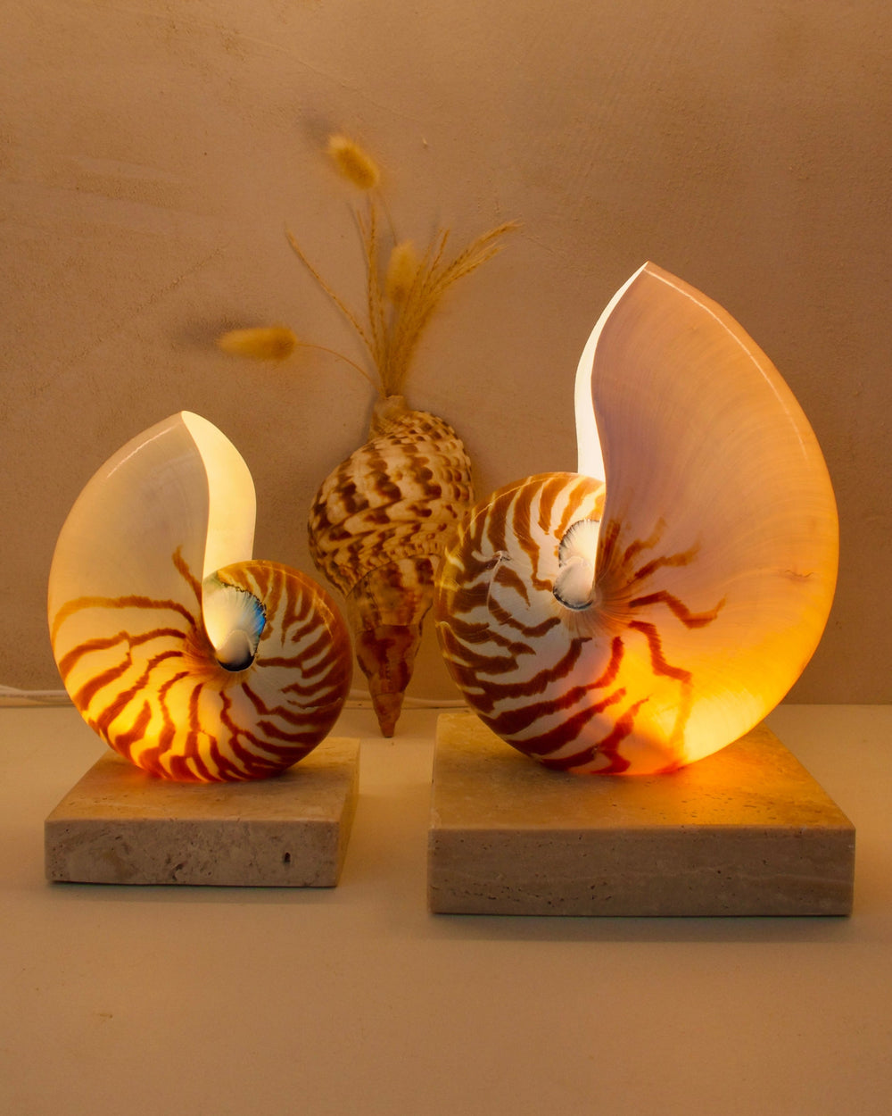 nautilus shell bedside lamps on a square travertine base