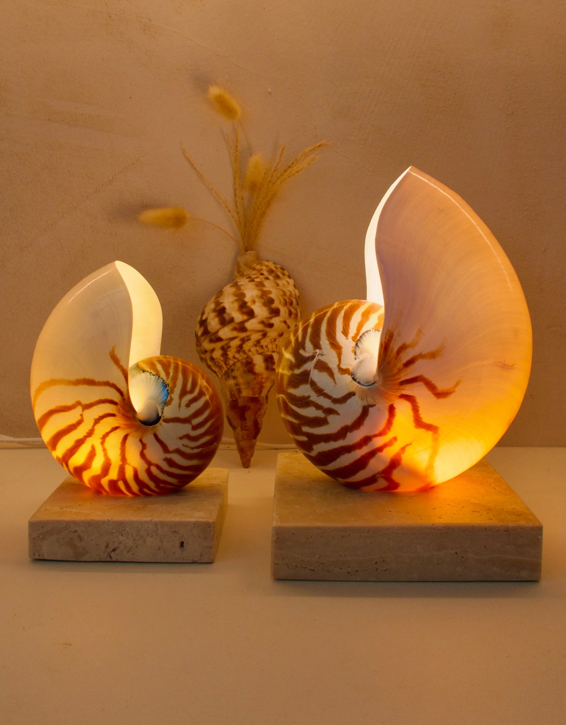nautilus shell lamps on square travertine stone base