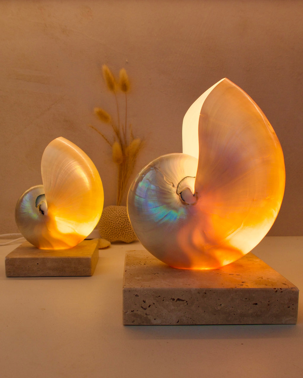 mother of pearl nautilus shell lamps on square travertine stone base