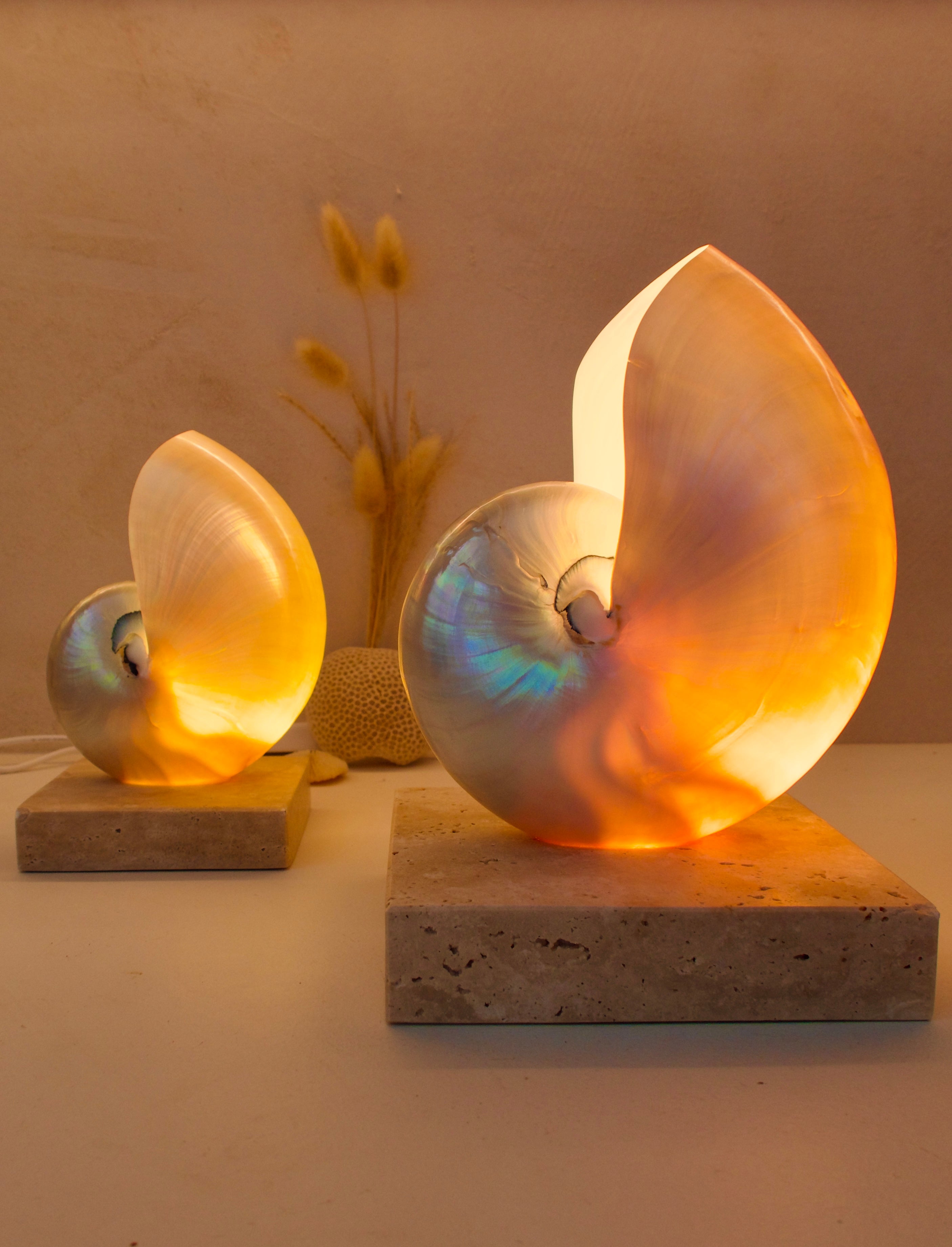 mother of pearl nautilus shell lamps on square travertine stone base