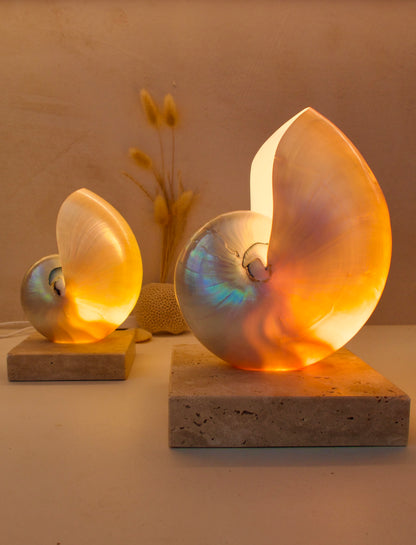 Mother of Pearl Nautilus - Large Square