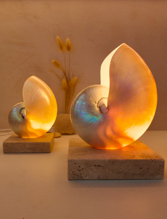 Mother of Pearl Nautilus - Large Square