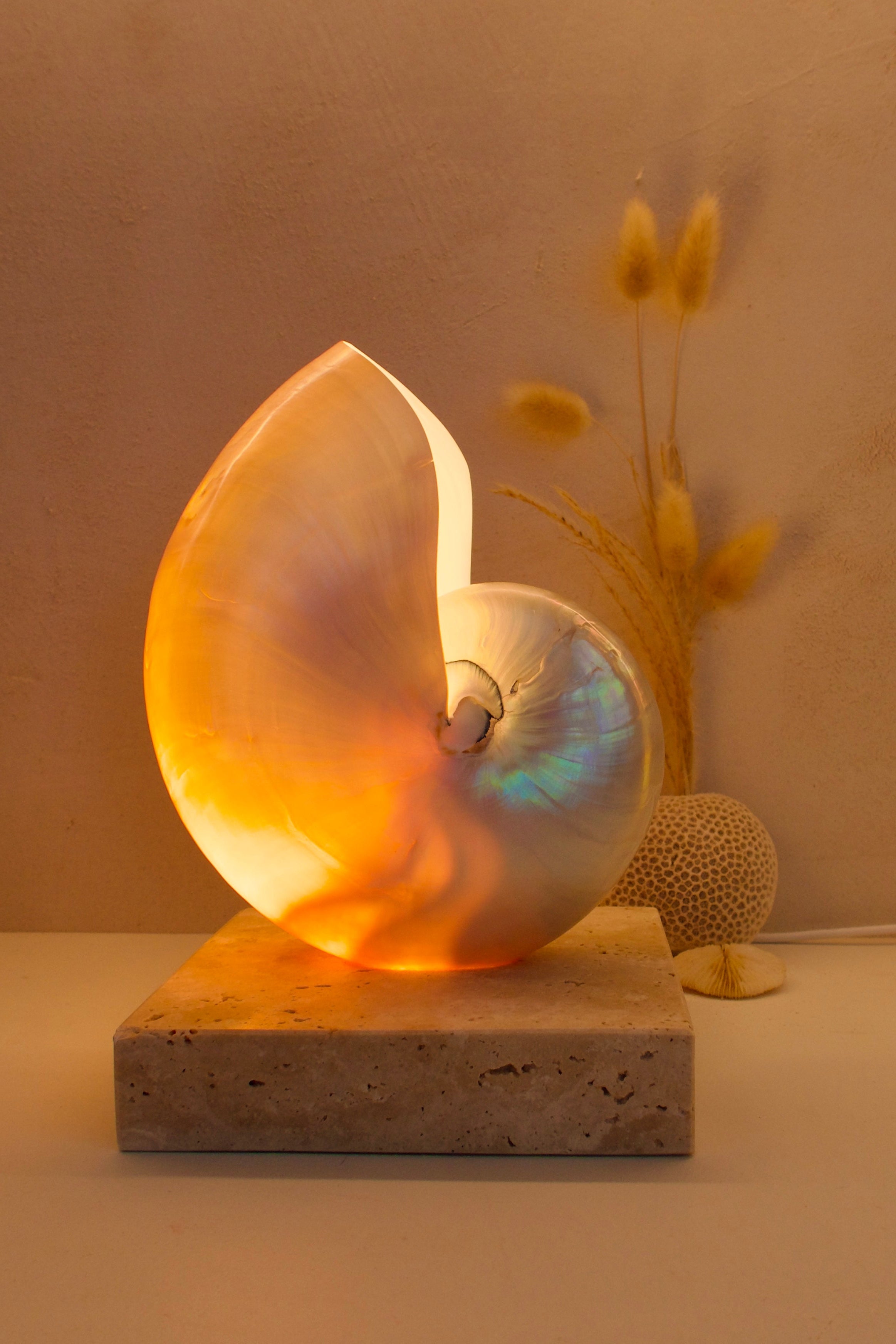 mother of pearl nautilus shell lamp on square travertine stone base