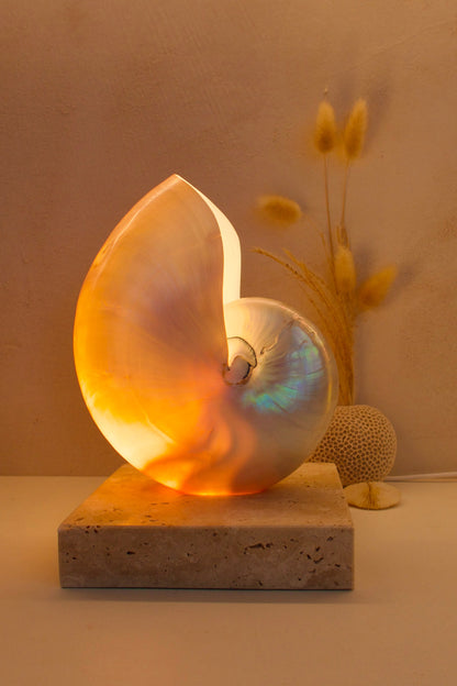 Mother of Pearl Nautilus - Large Square