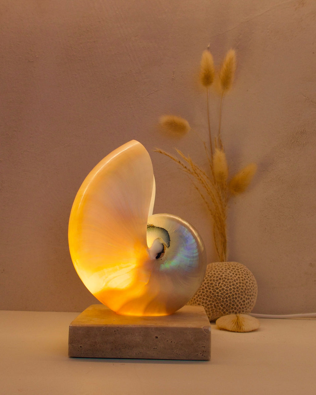 small mother of pearl nautilus shell bedside lamp on a square travertine base