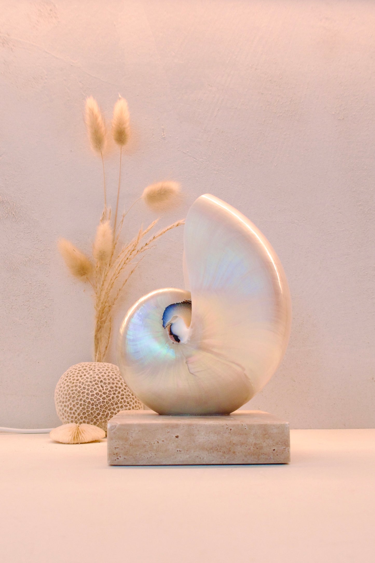 small mother of pearl nautilus shell bedside lamp on a square travertine base