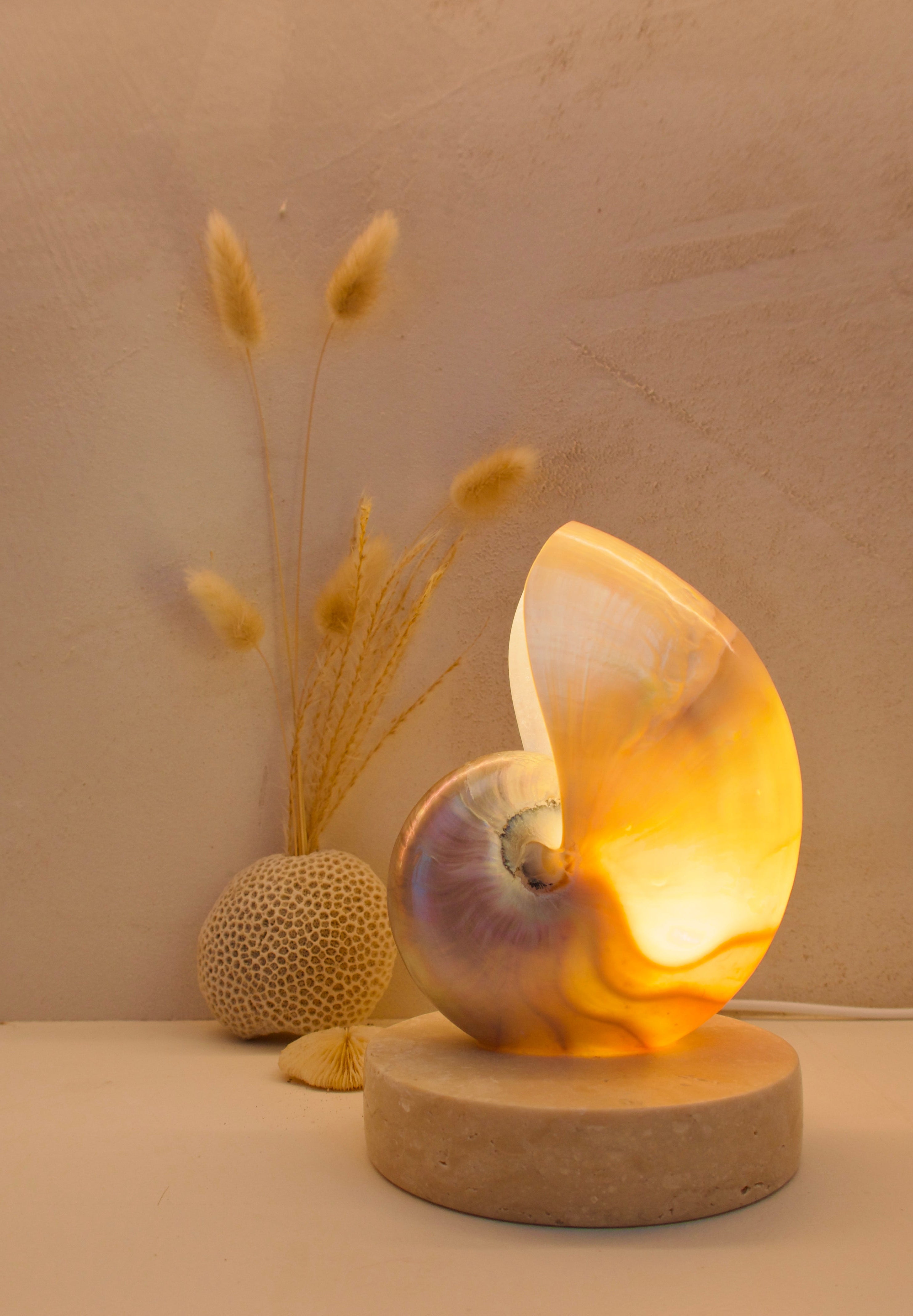 small mother of pearl nautilus shell bedside lamp on a travertine base