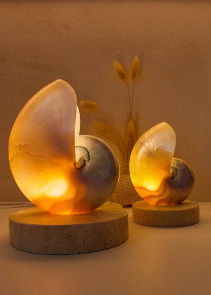 Mother of Pearl Nautilus - Large