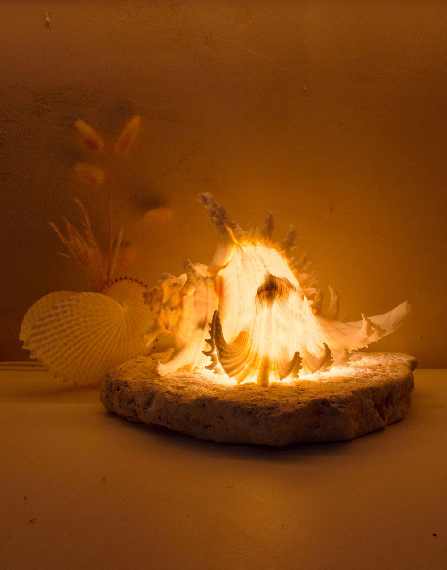 Ramosus Shellamp - Large