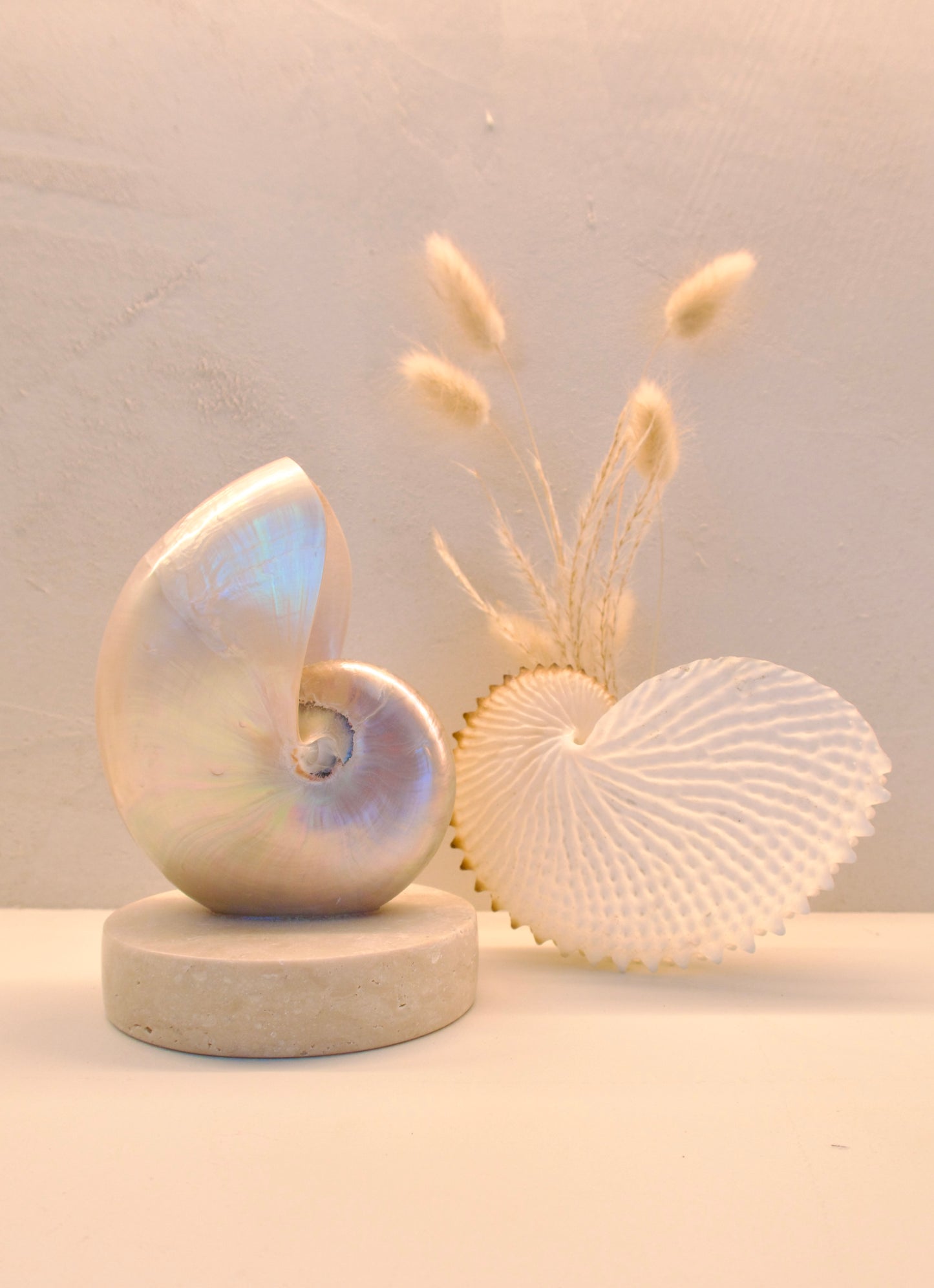 small mother of pearl nautilus shell bedside lamp on a travertine base