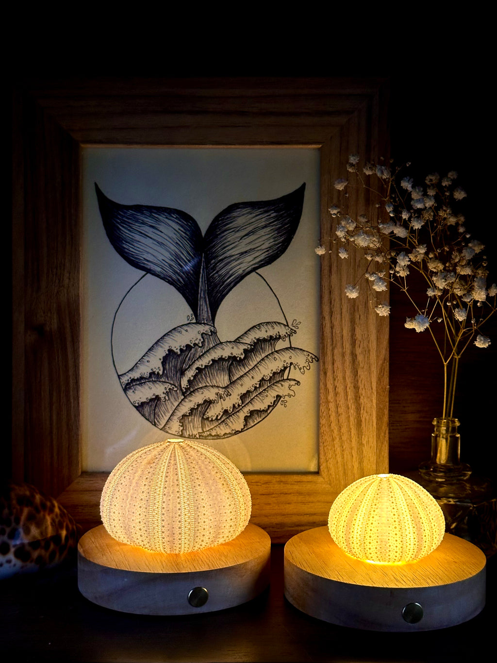 rechargeable LED Sea urchin shell lamp