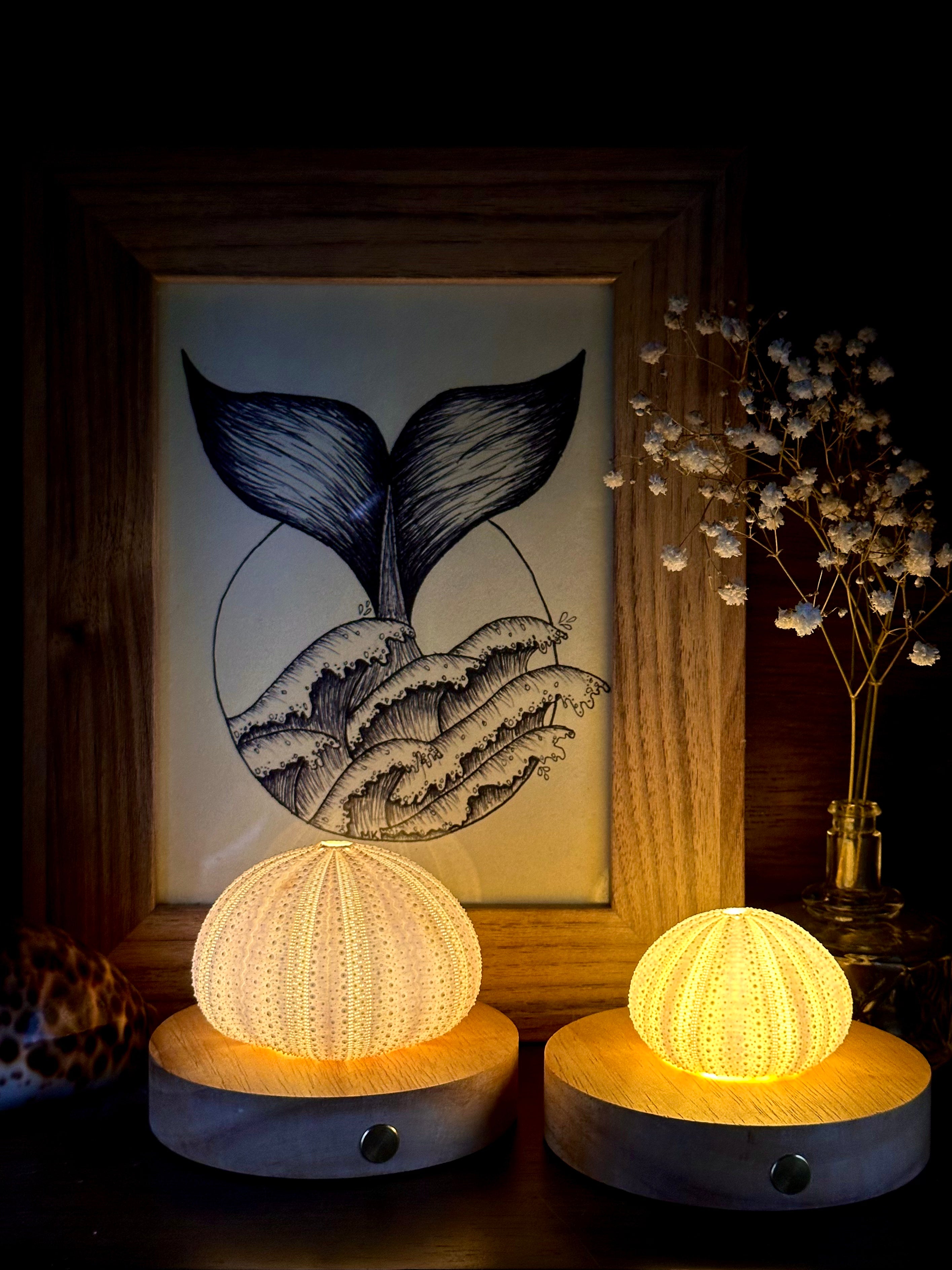 rechargeable LED Sea urchin shell lamp