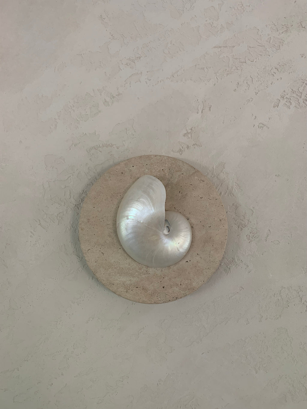 mother of pearl nautilus and travertine stone wall sconceon a textured render wall