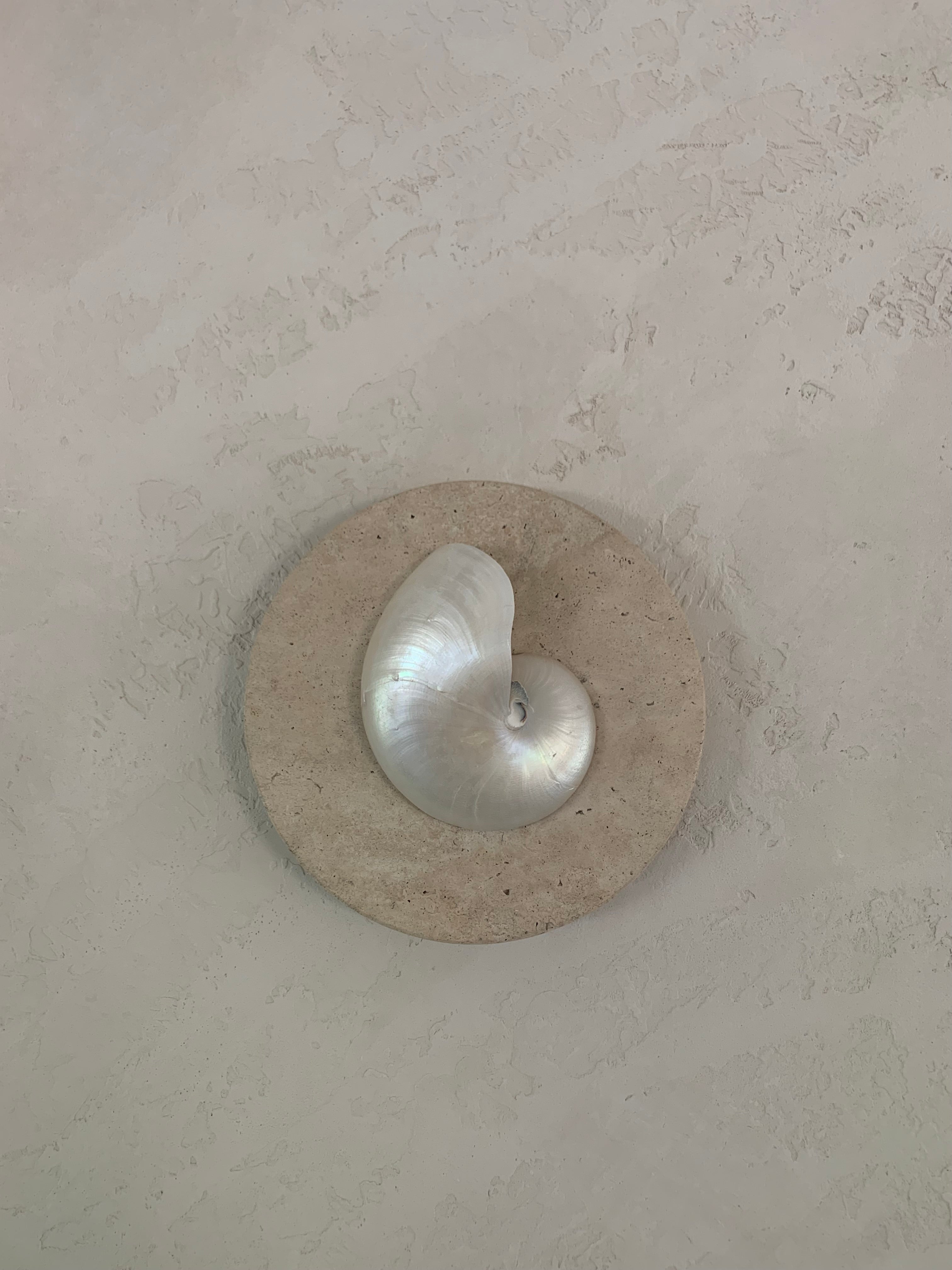 mother of pearl nautilus and travertine stone wall sconceon a textured render wall
