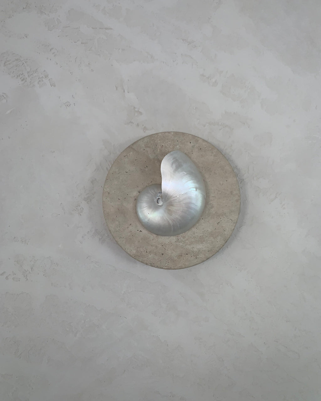 mother of pearl nautilus and travertine stone wall sconce on a textured render wall