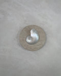 mother of pearl nautilus and travertine stone wall sconce on a textured render wall