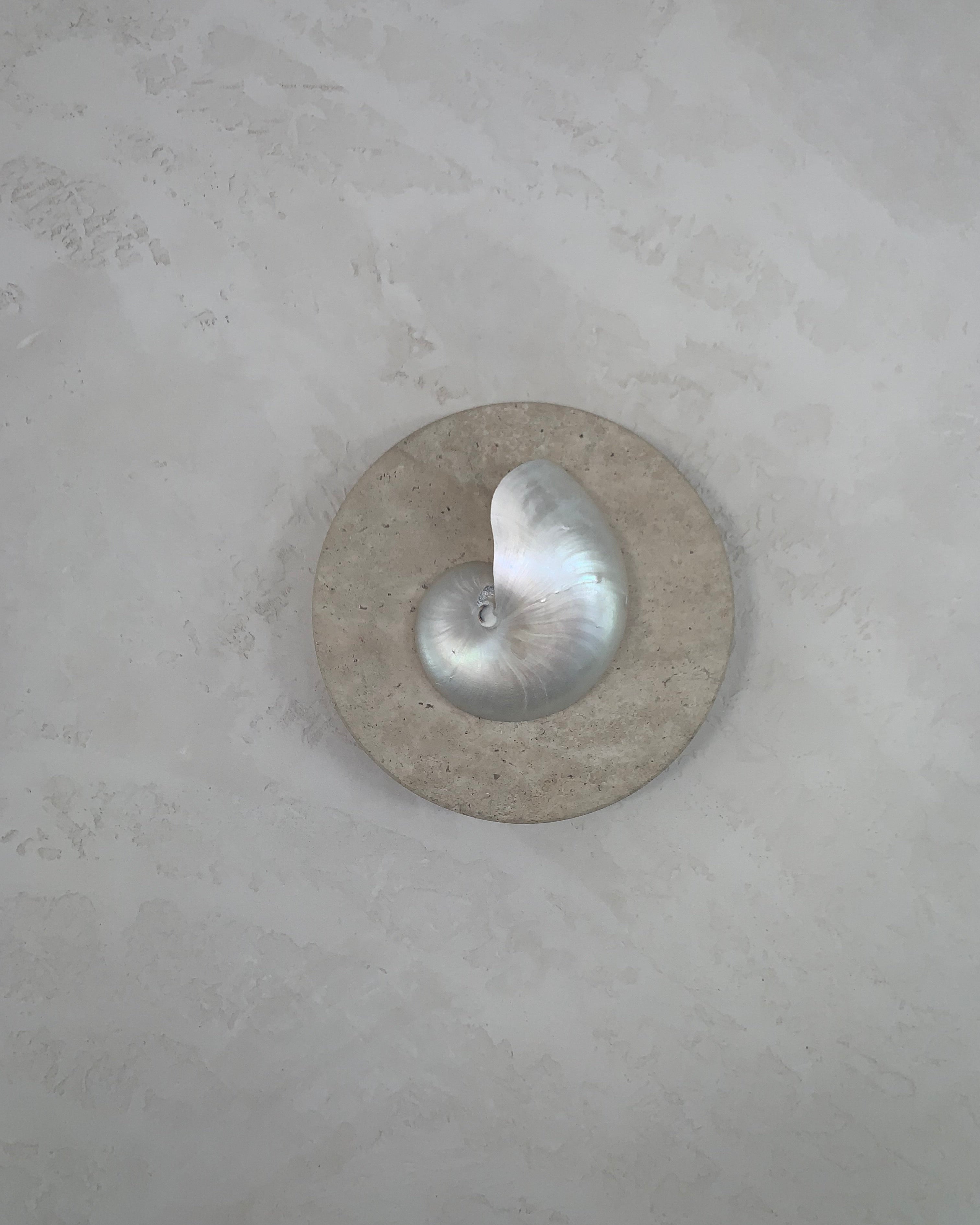 mother of pearl nautilus and travertine stone wall sconce on a textured render wall