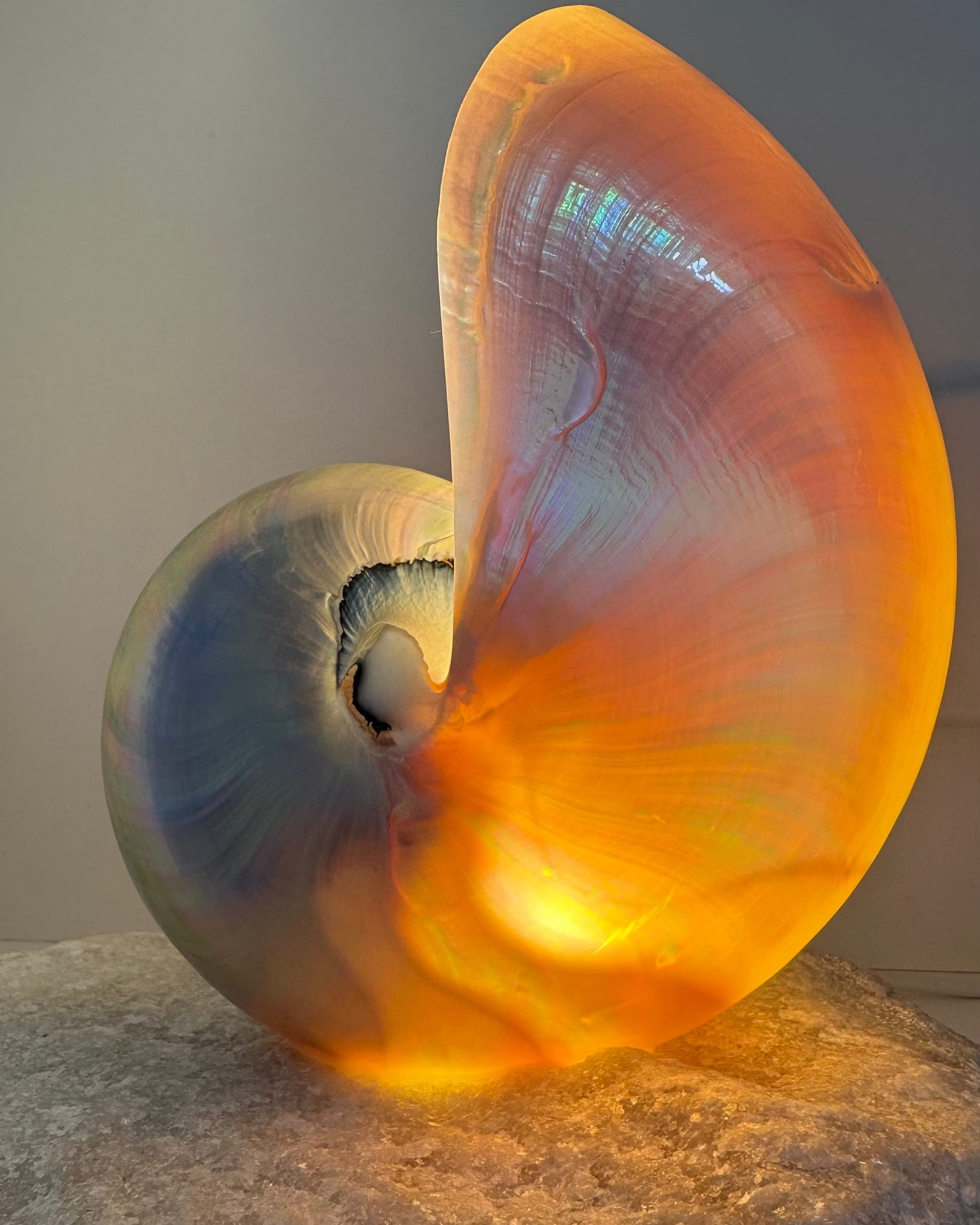Grande Mother of Pearl - large
