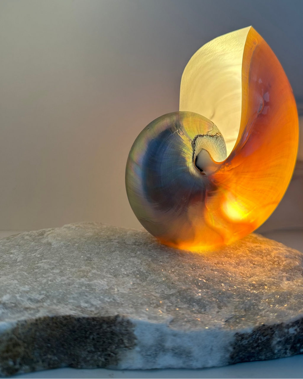 Grande Mother of Pearl - large