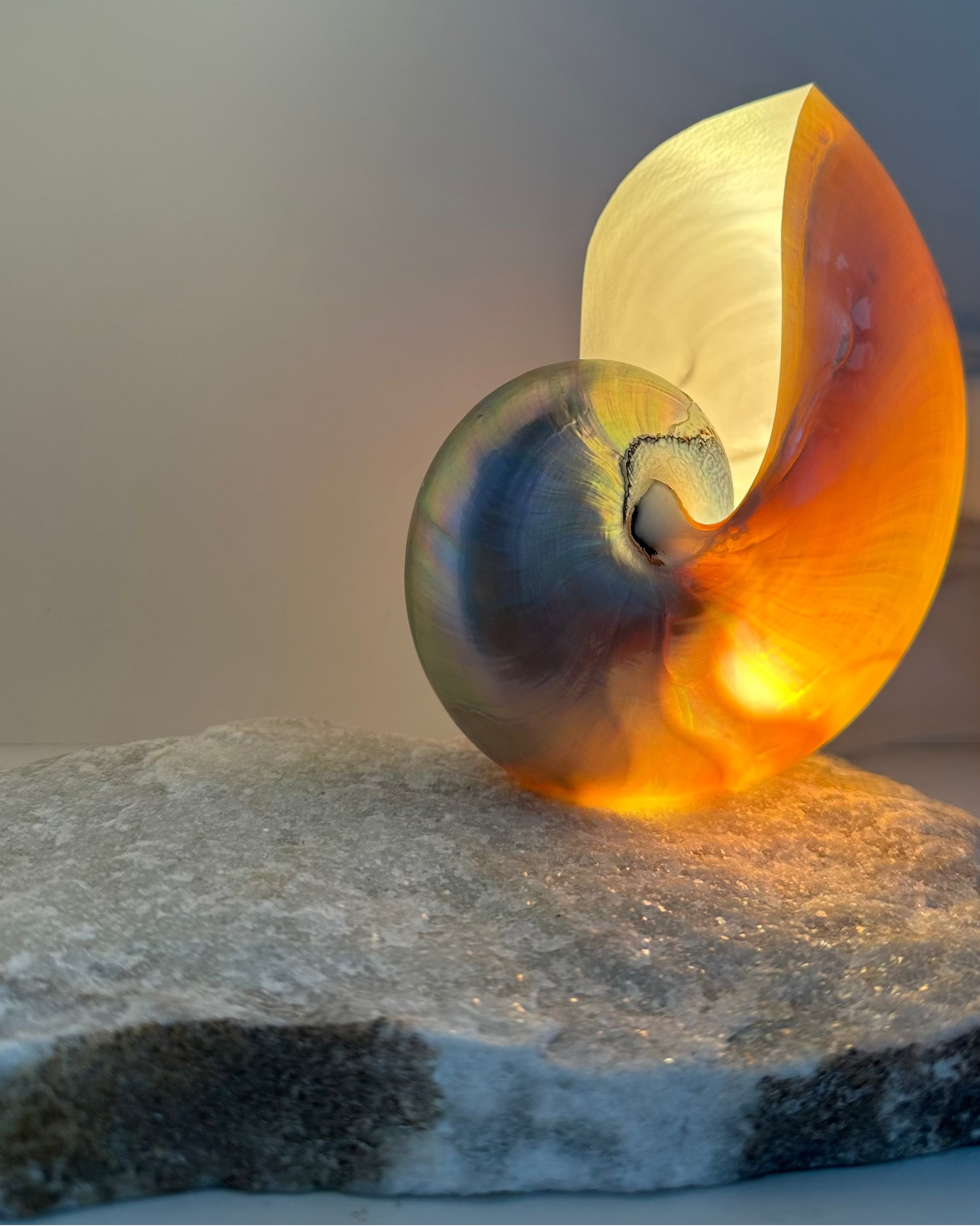 Grande Mother of Pearl - large