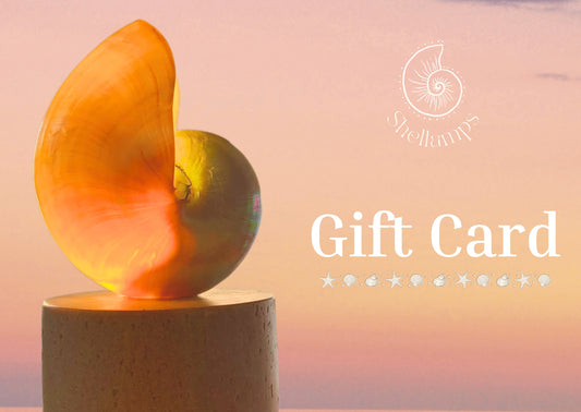 Shellamp E-Gift Card