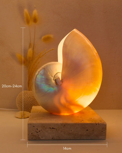 LARGE SQUARE Mother of Pearl Nautilus