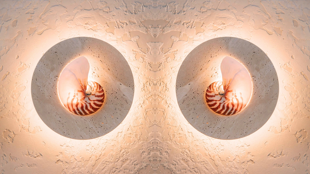 Nautilus shell and travertine stone wall sconce on textured render