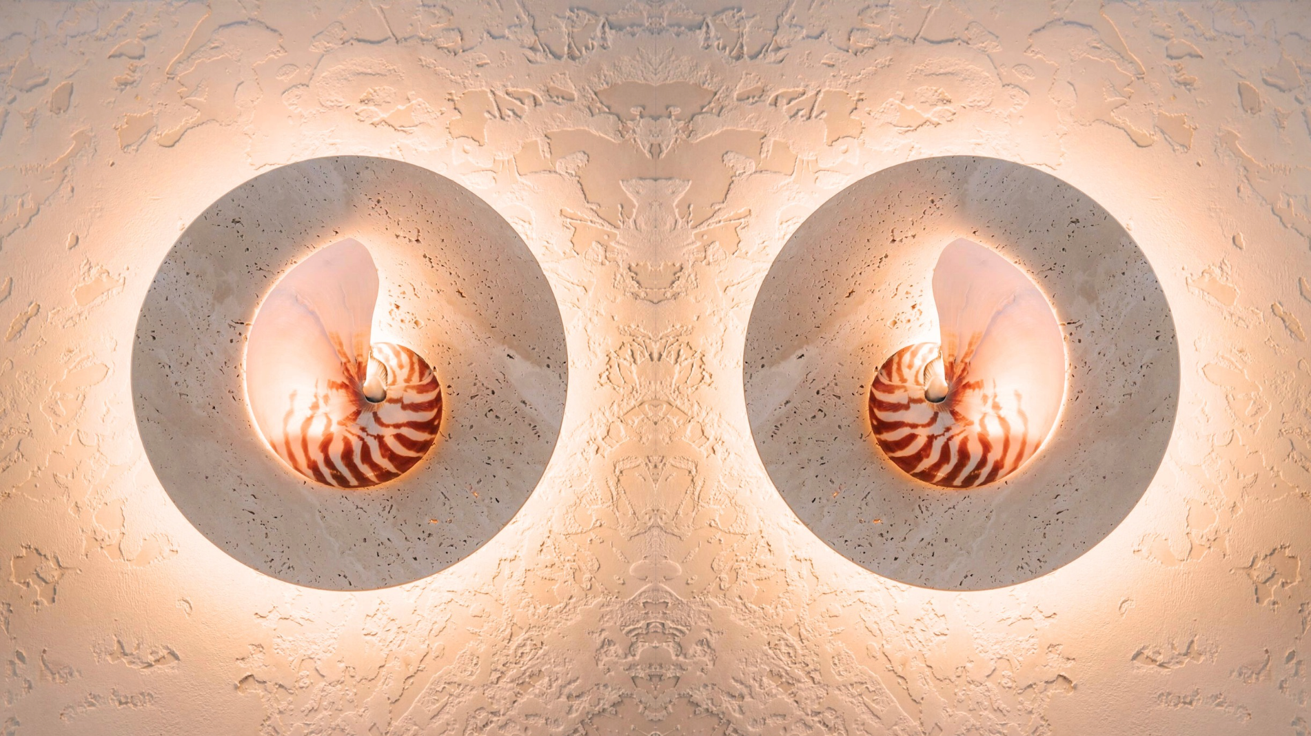 Nautilus shell and travertine stone wall sconce on textured render